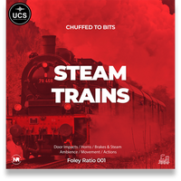 FR_001 Steam Trains - Engine Idling In Station [single track]