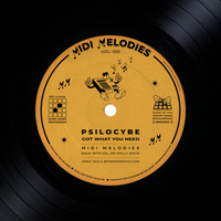 Psilocybe - Got What You Need [ single track ]